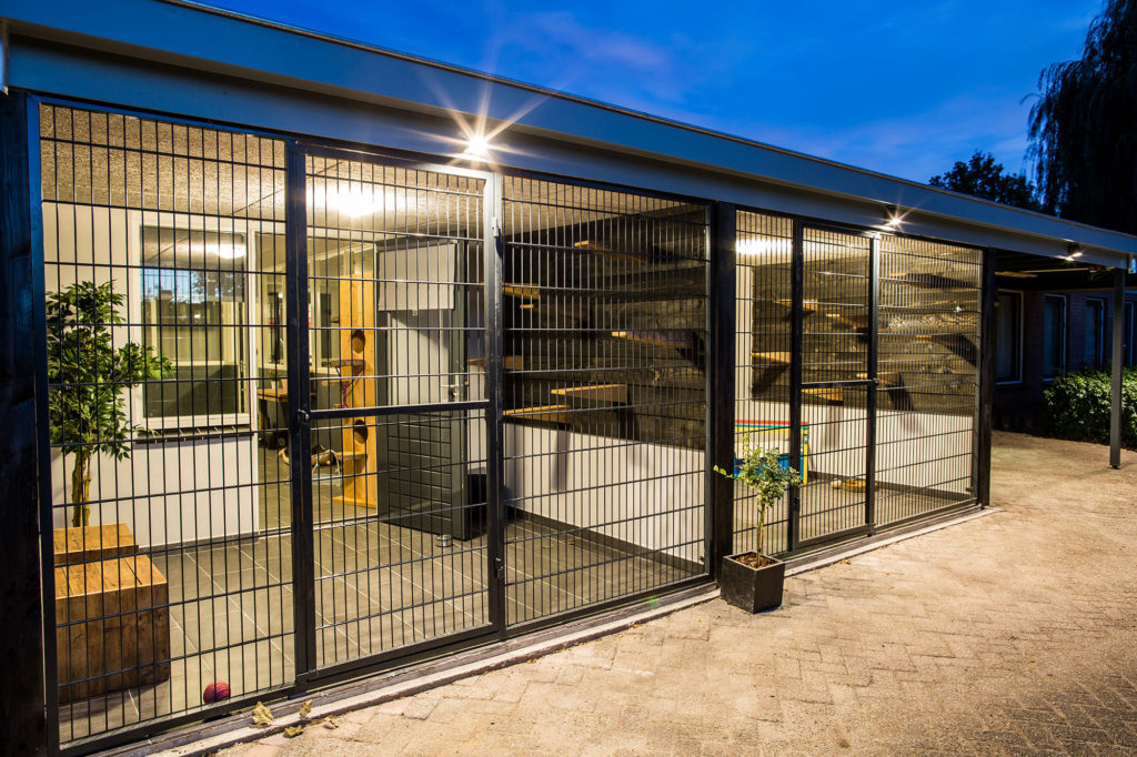 Het buitenverblijf van kattenpension Chateau Animaux in Heeswijk-Dinther (Gemeente Bernheze)